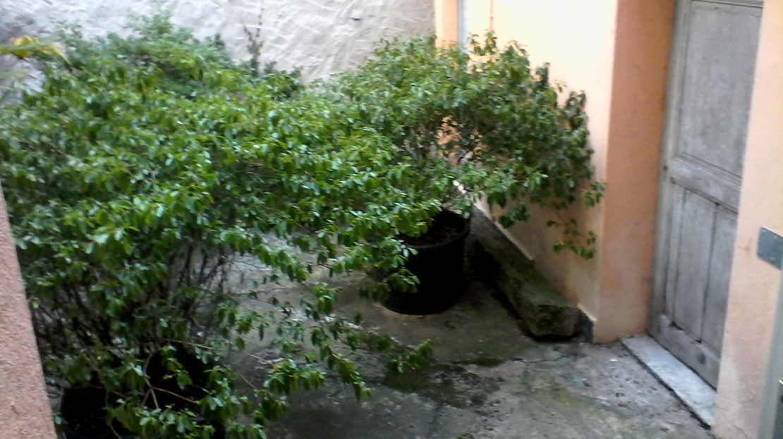 cortile